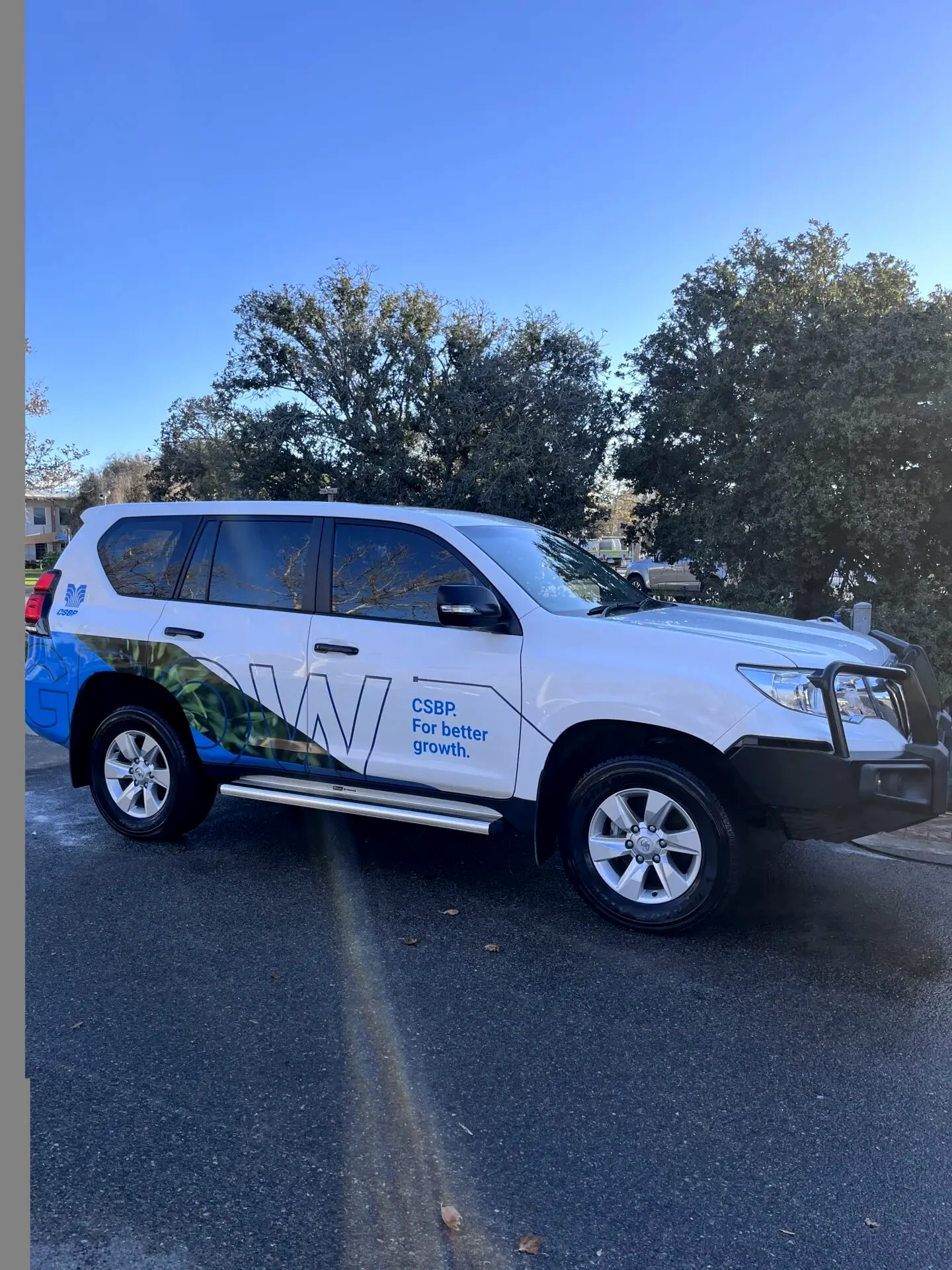 Carsmetic Detailing branded mobile service vehicle